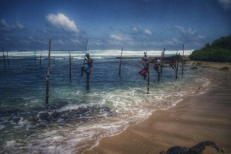 Stilt Fishermen of Koggala