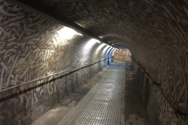 View of one of the walkable tunnels.