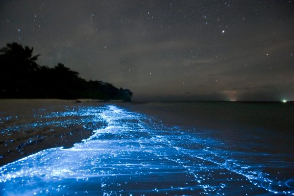 Bioluminescence from glowing plankton off Vaadhoo Island in the Maldives.