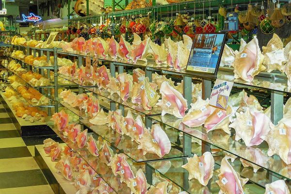 Conch displays.