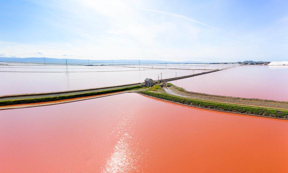 Blue water tends to turn green and then reddish or pink if there's a lot of salt, as in San Francisco Bay Salt Ponds.