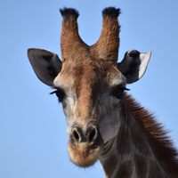 Profile image for molatecta