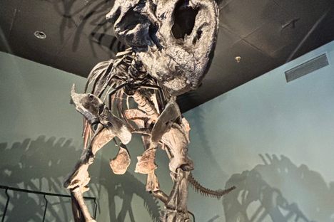 An exhibit