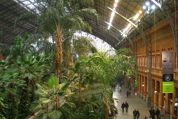 Jardín Tropical Estación de Atocha.