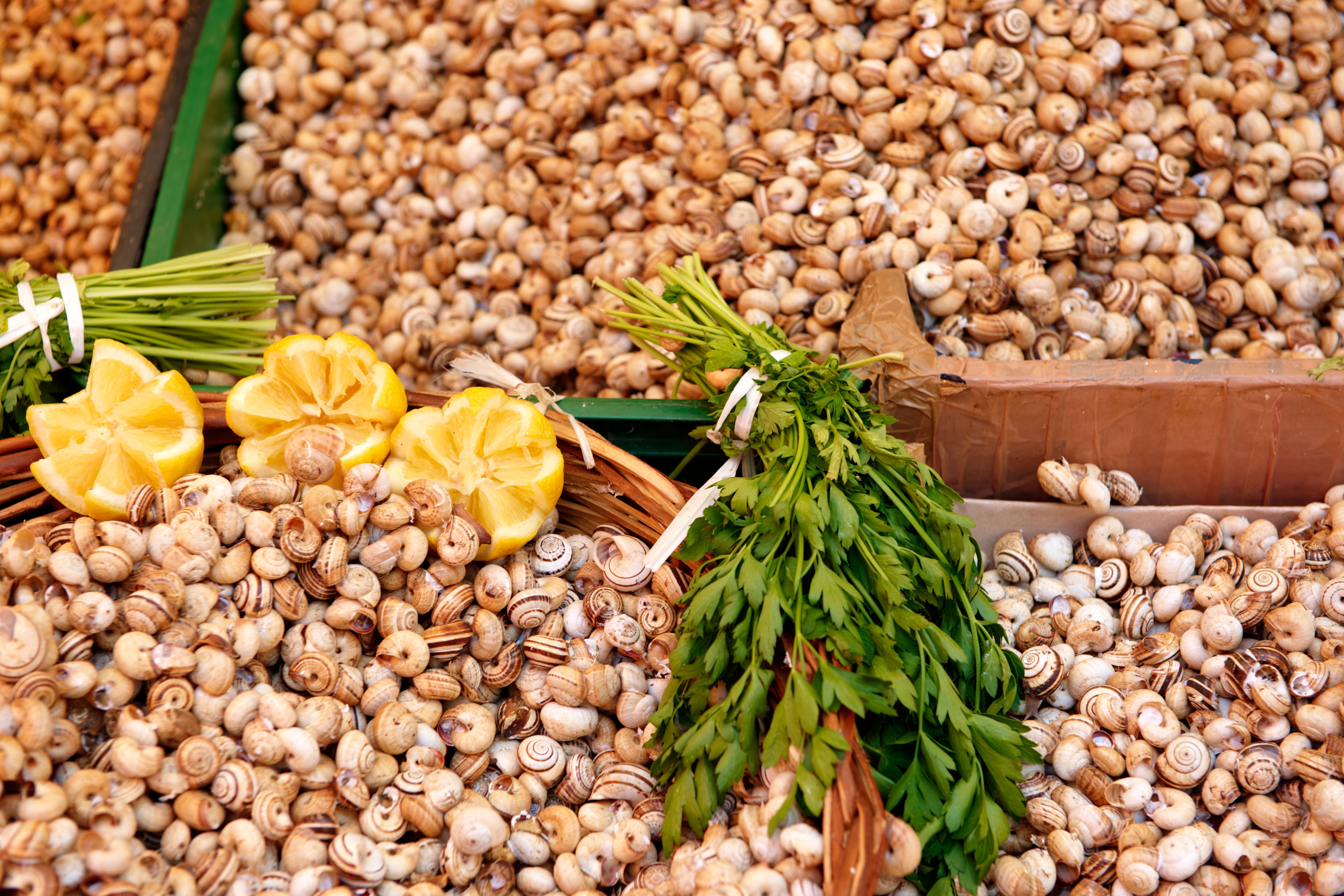 Live, edible snails for sale in Palermo, Sicily. Snail gastronomy is more common outside the United States.