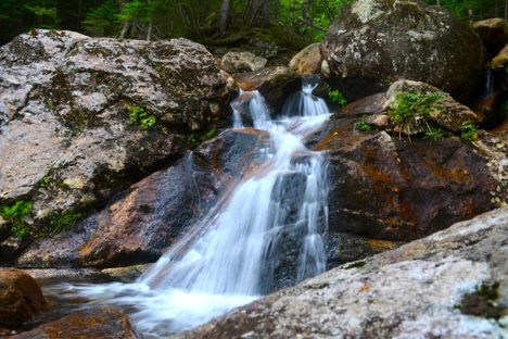 Thompson Falls
