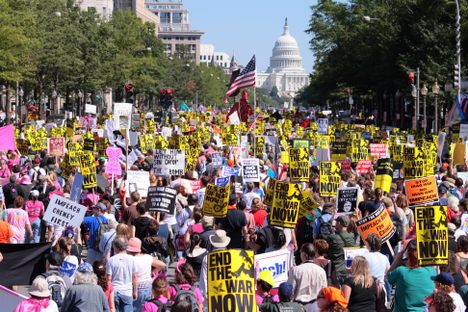 From Frogs to Immigration, How the Secret Service Kept Tabs on Peaceful Protests