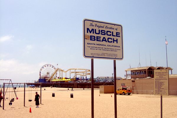 Welcome to Muscle Beach, home of copper toned deltoids and more!