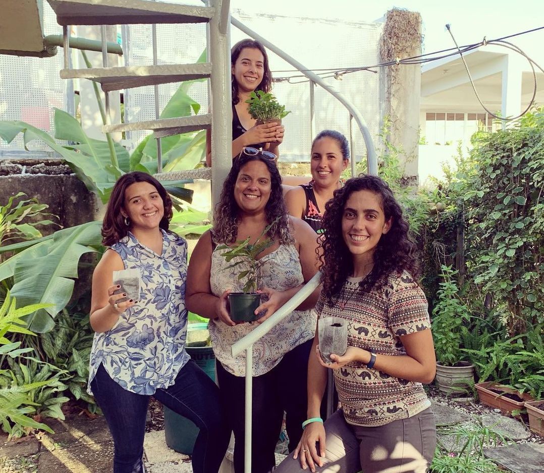 A small group of dedicated environmentalists has distributed fruit trees across Puerto Rico.