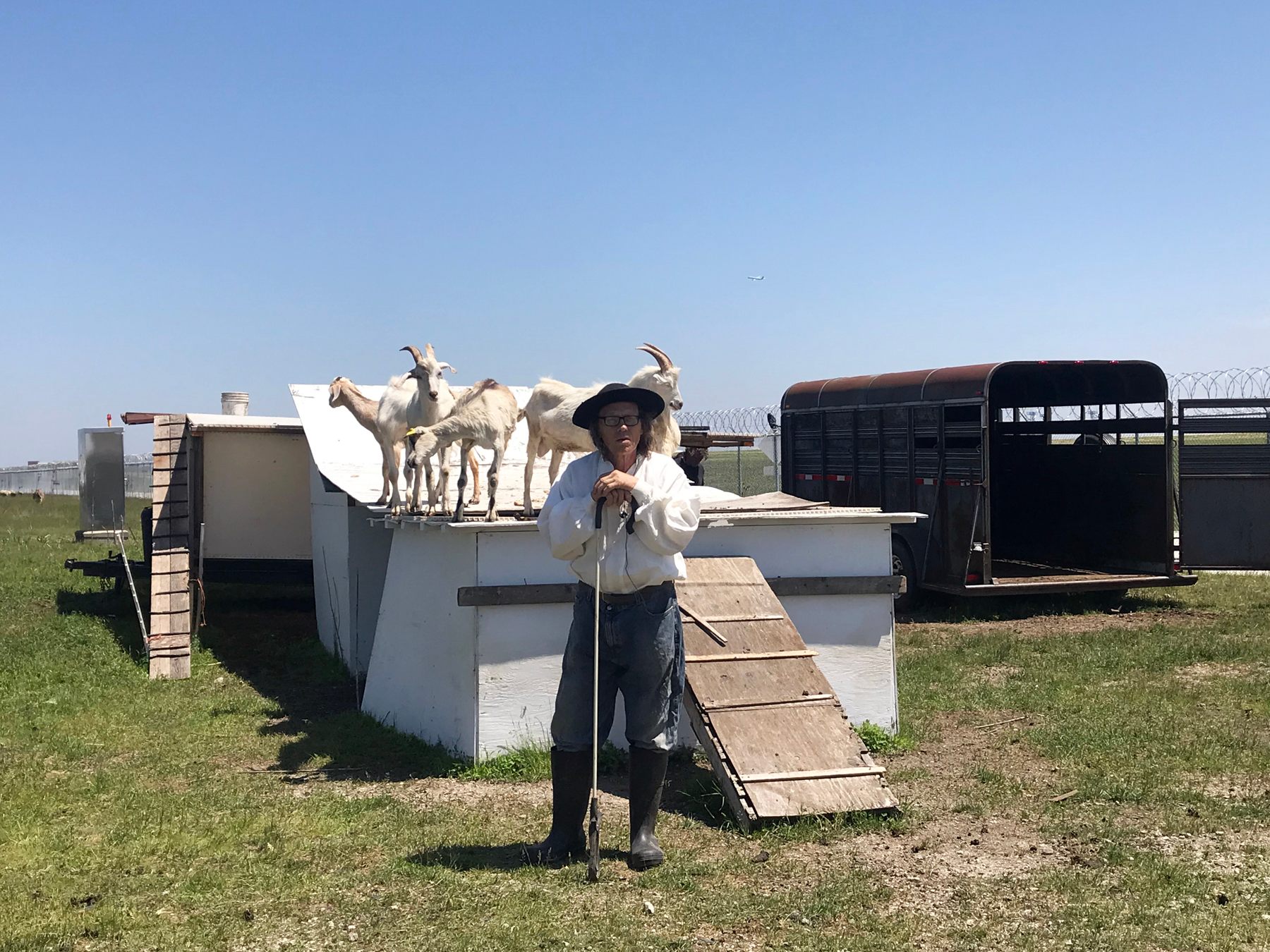 Veteran shepherd Andrew Tokarz, of Lemont, Illinois, visits his herd daily.