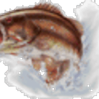 Profile image for eulajimenez
