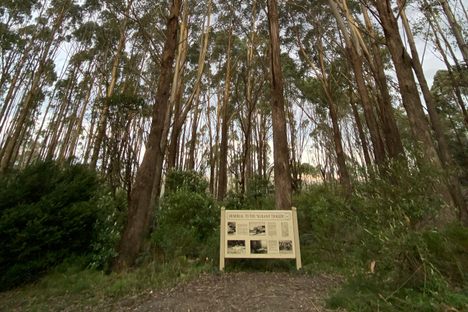 Kurana Aeroplane Crash Memorial