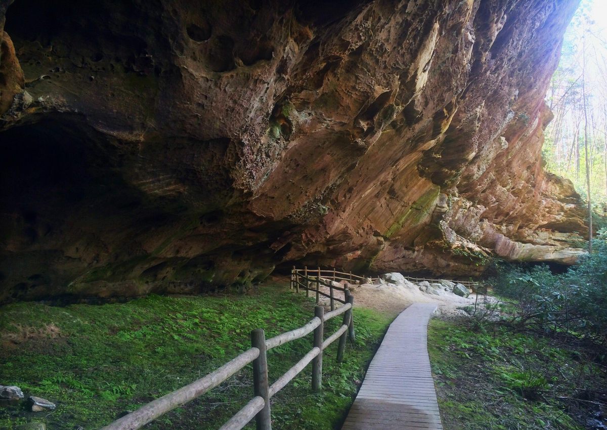 Pickett CCC Memorial State Park in Tennessee offers nighttime walks to Hazard Cave to see the luminescent larvae.