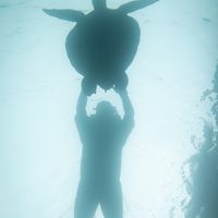 Profile image for Lucasgatherings