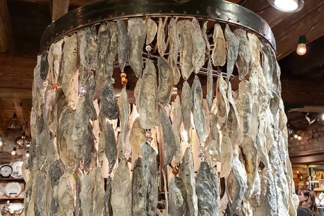 Oyster Chandelier