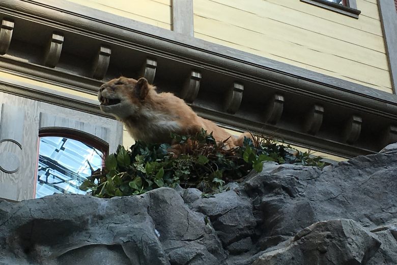 An animatronic cougar with its mouth open crouches on a rocky ledge with green foliage inside a building.