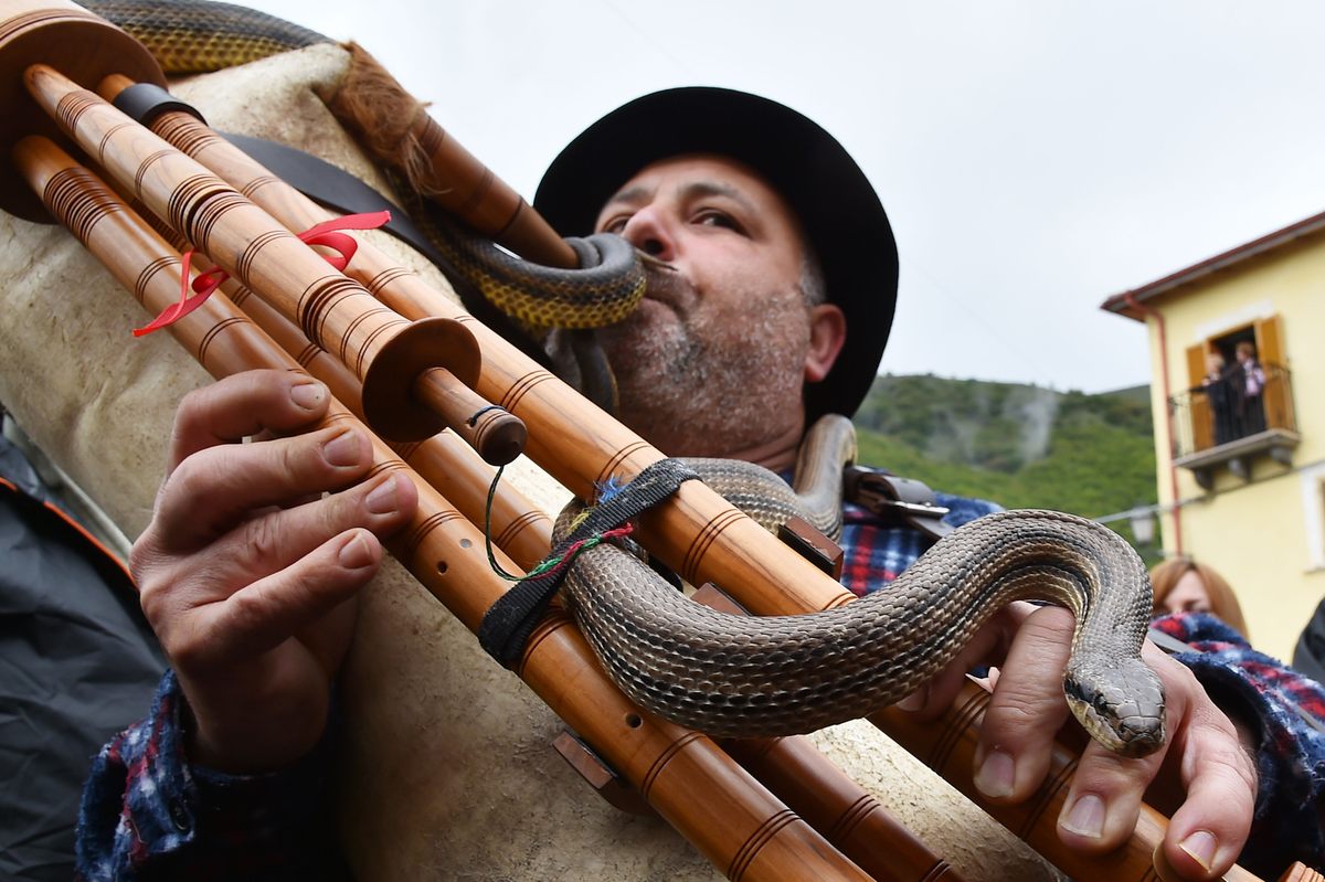 A Statue Draped With Snakes? In Italy, It Happens Every Year. - The New  York Times