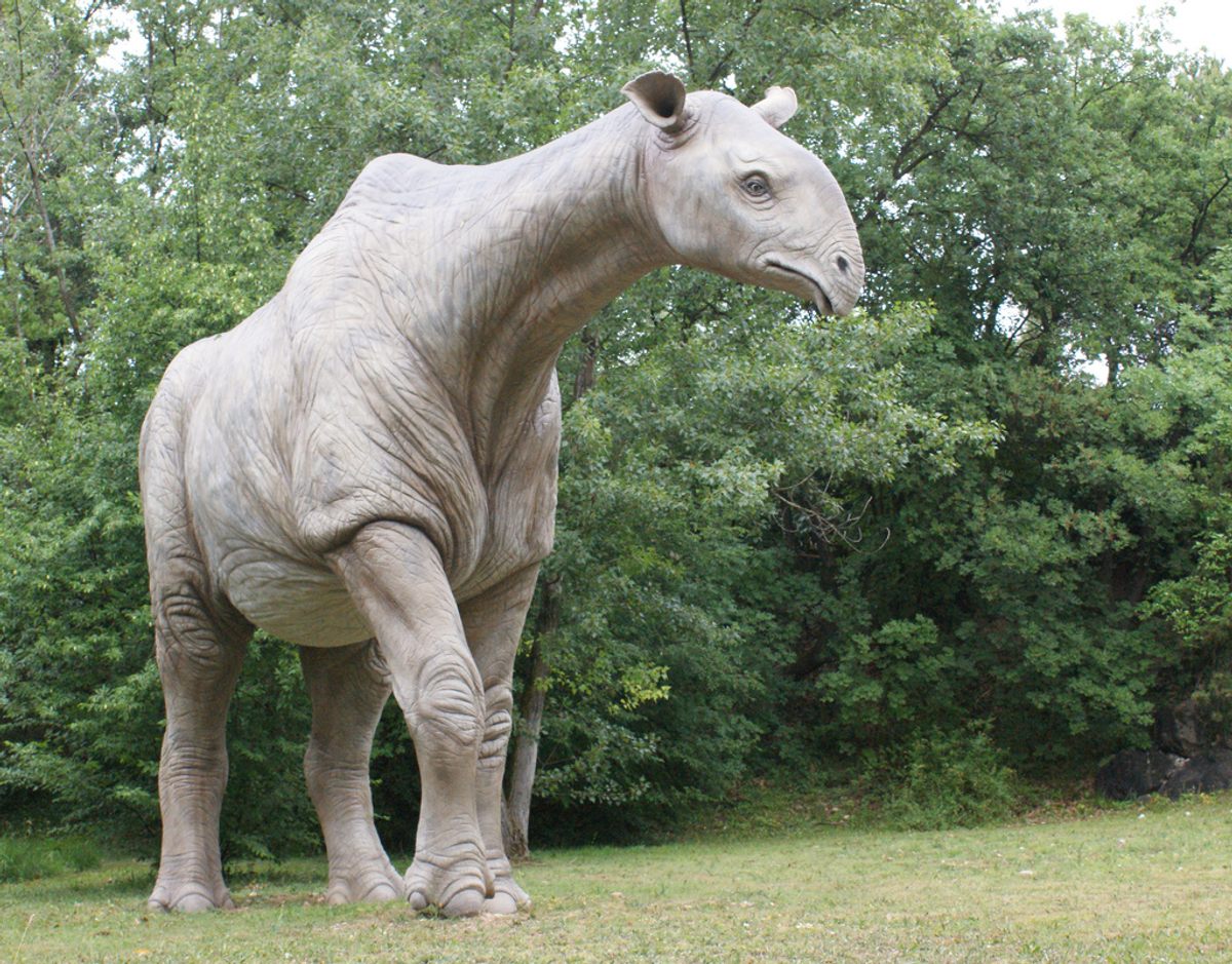 Самые таинственные животные. Безрогий носорог – индрикотерия. Гигантский носорог Индрикотерий. Paraceratherium transouralicum. Парацератерий и Индрикотерий.