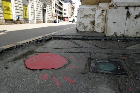 A Sarajevo Rose.