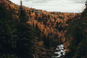 Photo of Minnesota