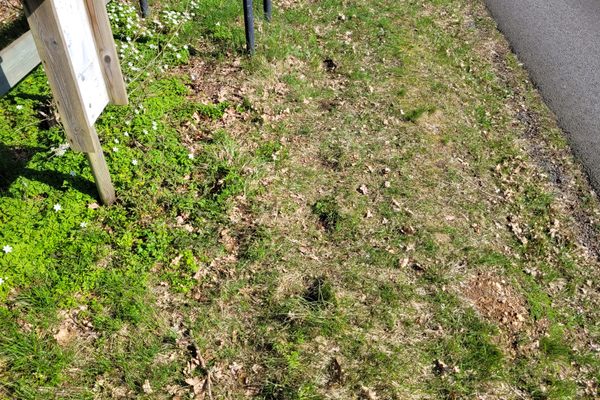 Vertikal view of a section of the line of holes.