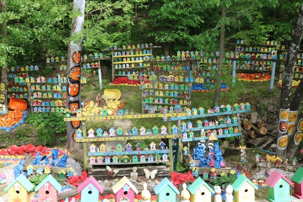 Birdhouse Paradise of Bill Larkin.