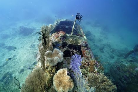 The cockpit of a B-25 bomber off the coast of Papua New Guinea.