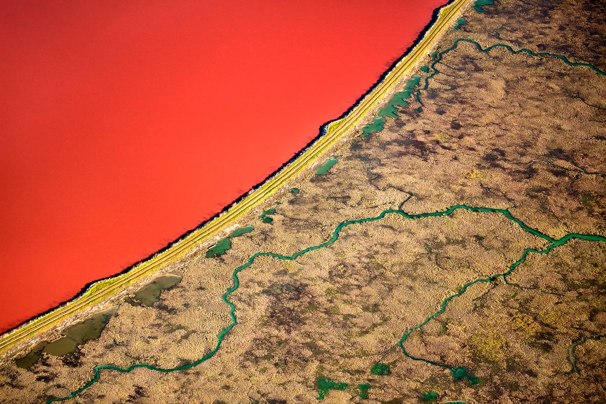 A dike in San Francisco's South Bay separates wetlands and a salt pond, which is being stained bright red by halobacteria.