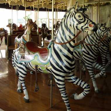 Kit Carson County Carousel Zebras