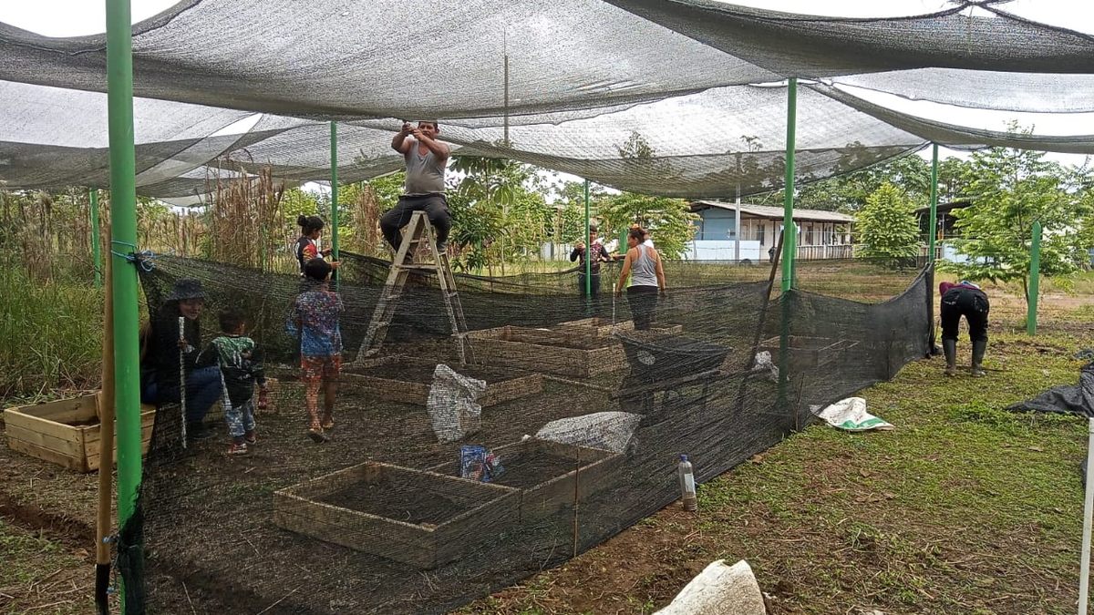The community garden where Semillas lives with other former guerrilla members and their families.