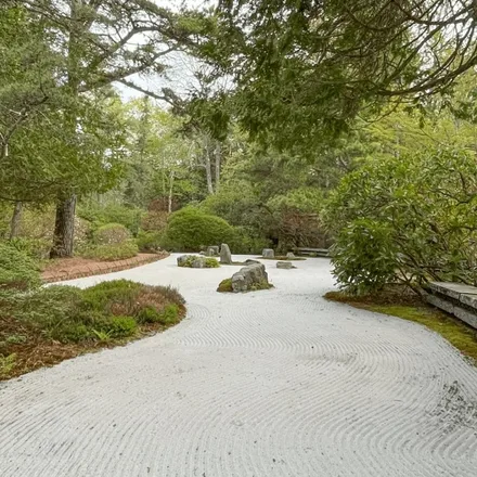 A curving bed of raked white gravel winding between pines and low evergreen shrubs