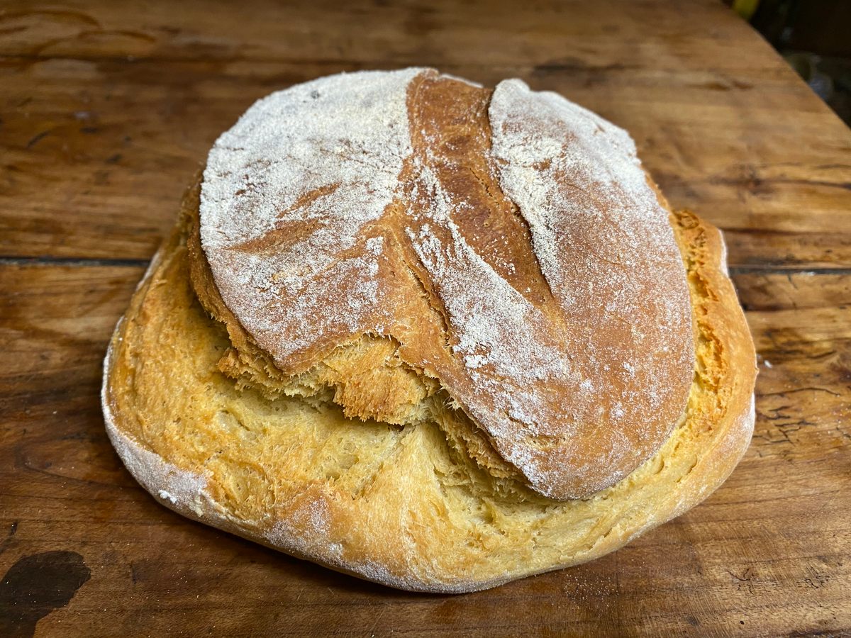 An enriched, white horse bread baked by William Rubel from a 1607 recipe for race horses. Ordinary horse bread was darker, flatter, and denser.