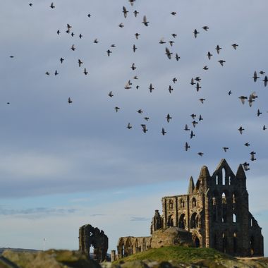 Whitby Abbey