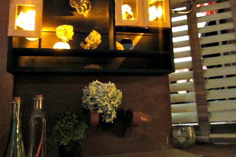 Step inside an Interactive Contemporary Cabinet of Wonders in Long Island City