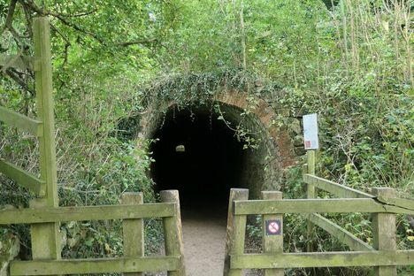 One of two, still accessible, "cut and cover" tunnels on the tramway
