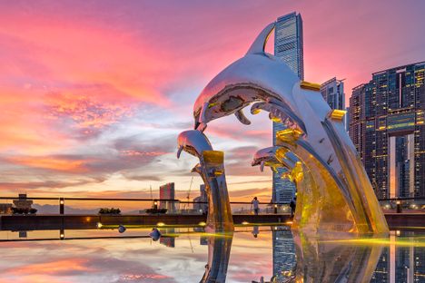 Dolphin Sunset