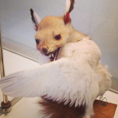 A wolpertinger.