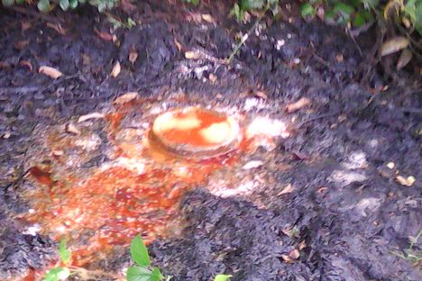 The top of the well