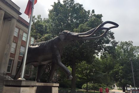 Archie the Mammoth greets you.
