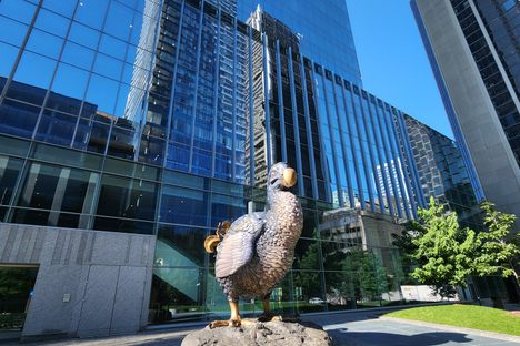 Song of The Dodo, Montreal, Quebec, Sep 7, 2026