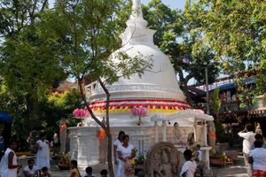 Photo of Colombo