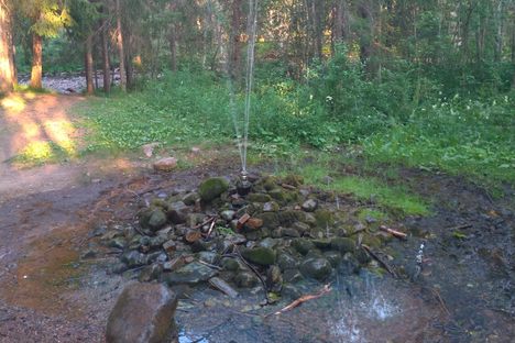 Springkällan (The Spring)