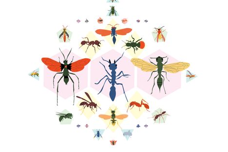 Scroll down to see a full-scale pain index, with Justin Schmidt's own poetic descriptions. 