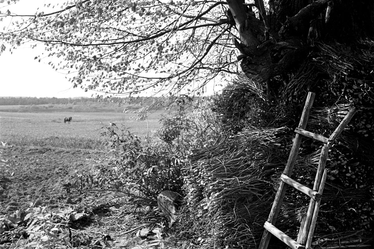 <em>Pushkinskiye Gory, Pskovskaya Oblast</em>, 1976.