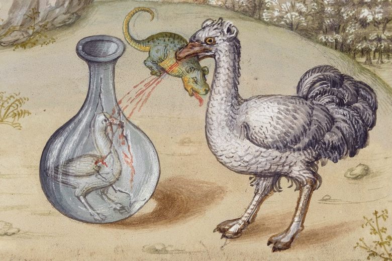 The Secret Meanings Behind the Beasts in a Medieval Menagerie - Atlas Obscura The Secret Meanings Behind the Beasts in a Medieval Menagerie - Atlas Obscura