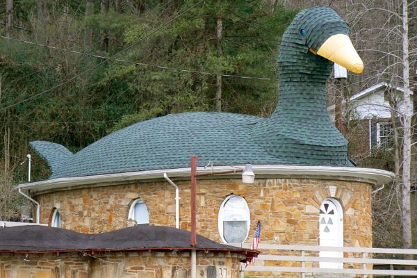 Mother Goose House.