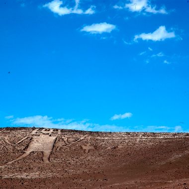 Atacama Giant