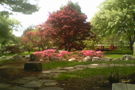 View from the teahouse across the garden, in early May.