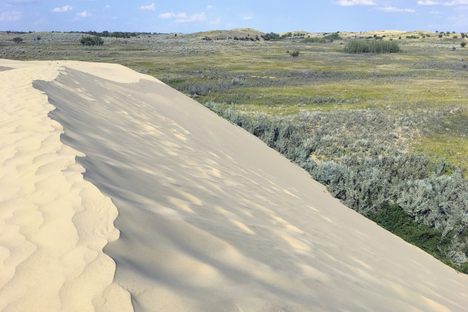Great Sand Hills