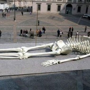 Giant skeleton sculpture. 